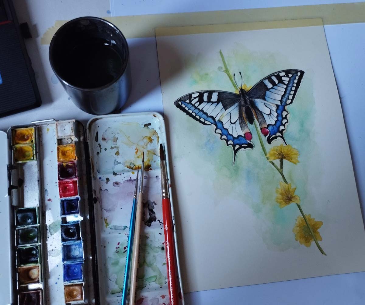 Illustrazione naturalistica