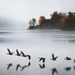 screenshot_2023-11-15-19-13-15-460_com-pinterest