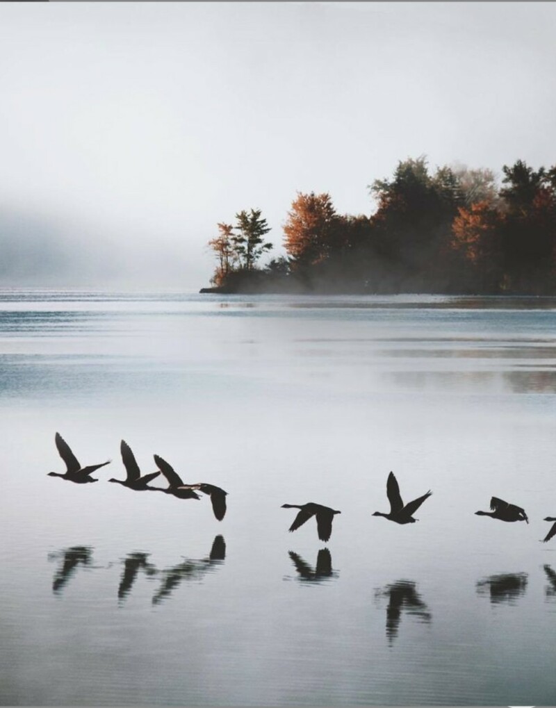 screenshot_2023-11-15-19-13-15-460_com-pinterest